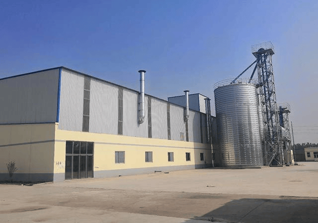 物领衔猫粮狗粮猫粮狗粮全价全价成成犬粮幼幼犬粮无谷粮十大科学营养配AG真人国际厅