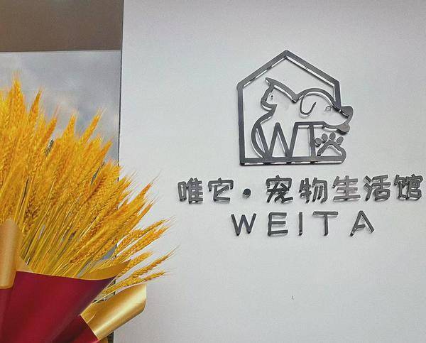 店_服务_店铺_专业AG真人中国附近宠物(图2)